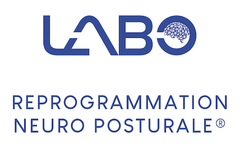 LABO Reprogrammation Neuro Posturale